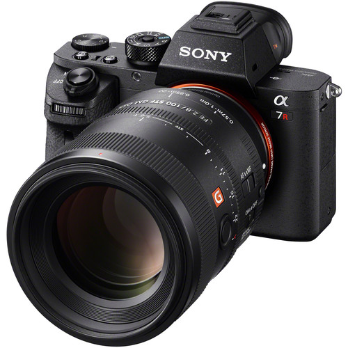 Sony-a7ii-with-FE-100mm-f2.8-STF-GM-OSS-Lens