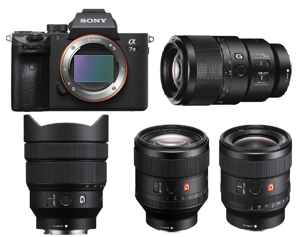 Best Lenses For Sony A7 Iii In 2021, Landscape Lens For Sony A7ii