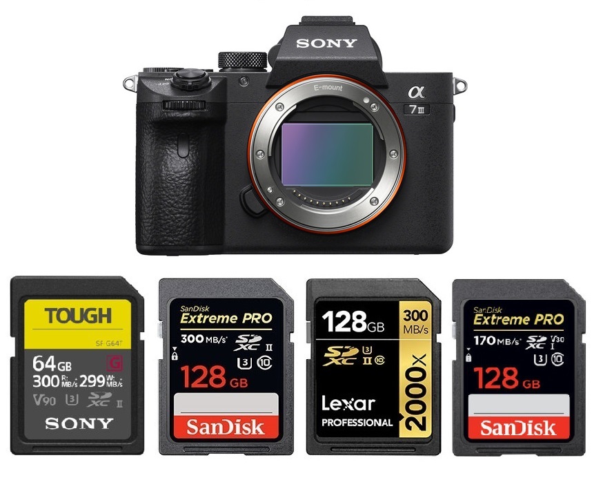 Lively Relative size replica Best Memory Cards for Sony a7 III – Camera Ears